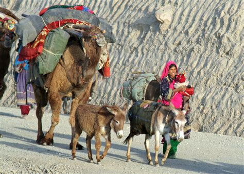 The nomadic tribes need to follow a cycle of seasonal movement because when climate is not suitable or pastures not available or unsuitable, cattle are likely to starve unless. . Why did kake leave nomadic movement